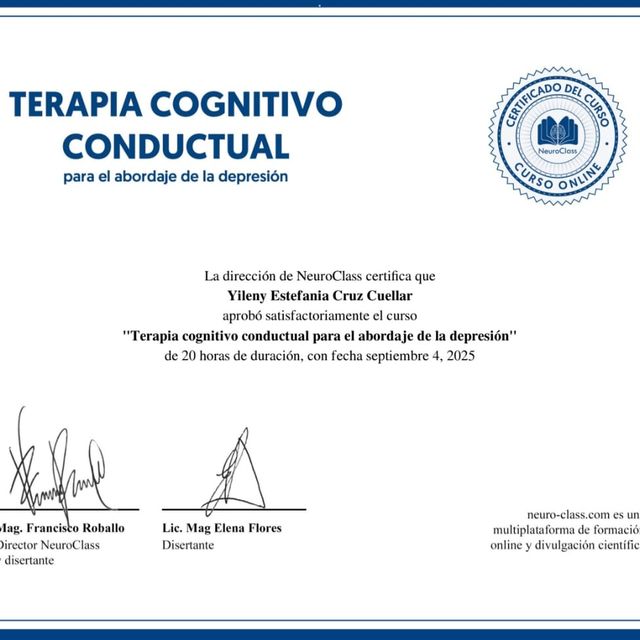 Ampliar imagen: certificate 4