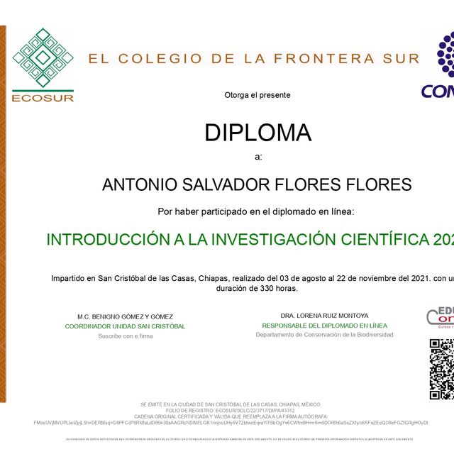 Ampliar imagen: certificate 14
