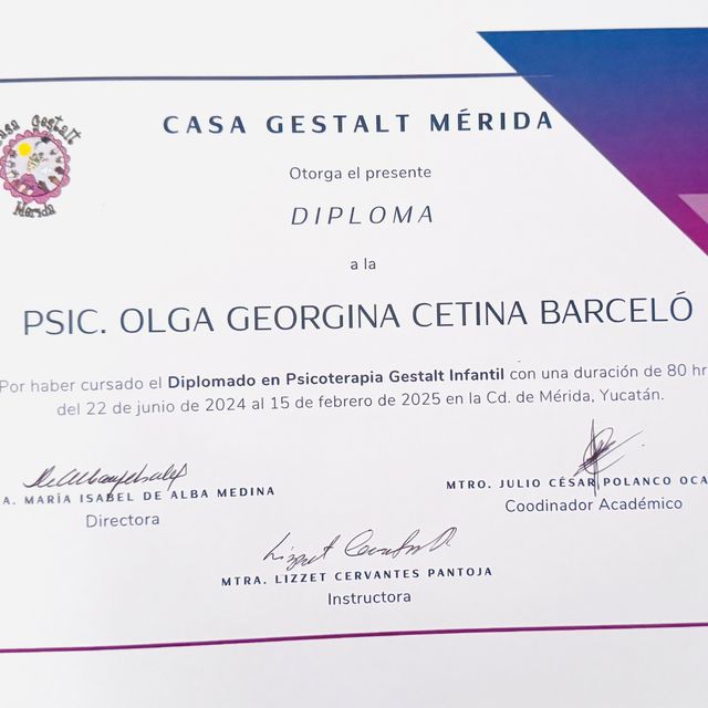 Ampliar imagen: certificate 5