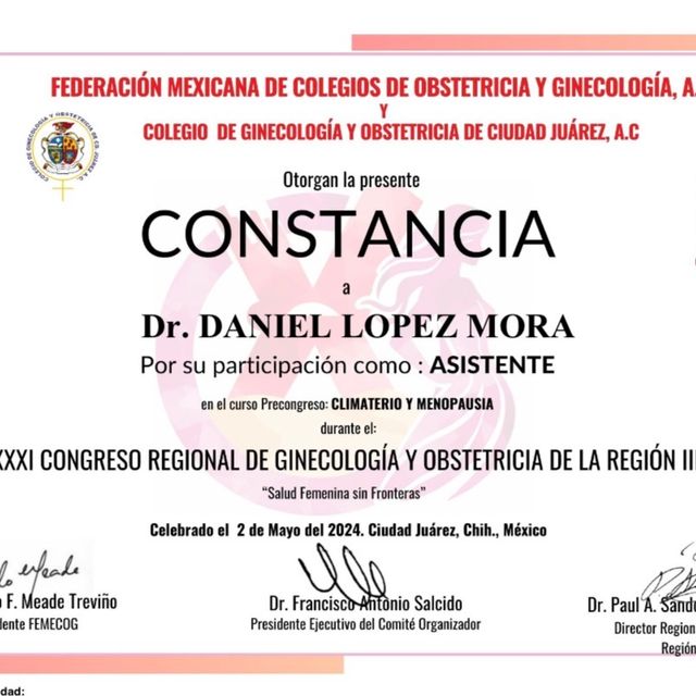 Ampliar imagen: certificate 3