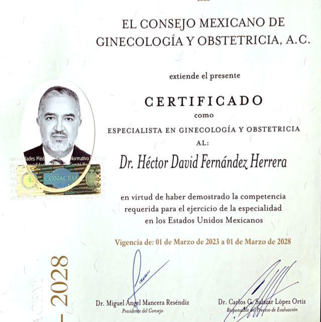 Ampliar imagen: certificate 1