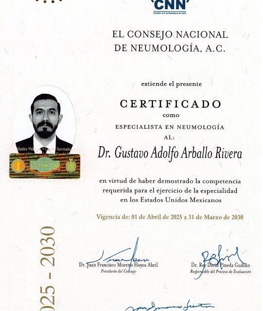 Ampliar imagen: certificate 1
