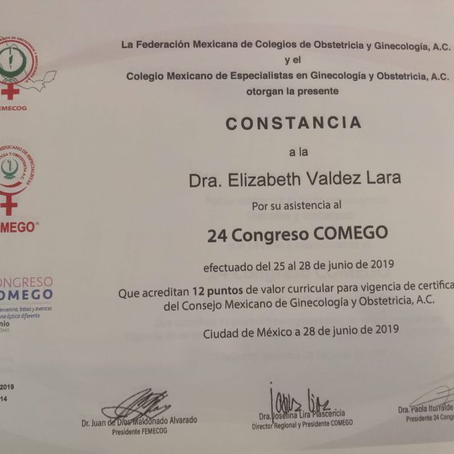 Ampliar imagen: certificate 17