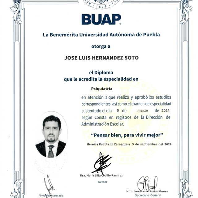 Ampliar imagen: certificate 2