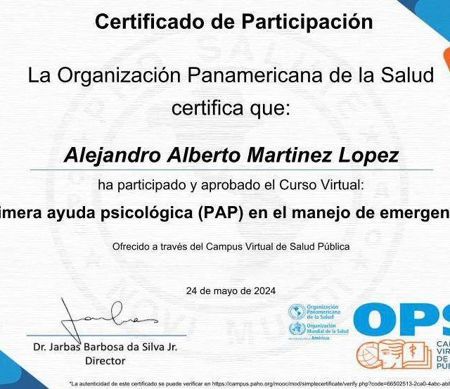 Ampliar imagen: certificate 2