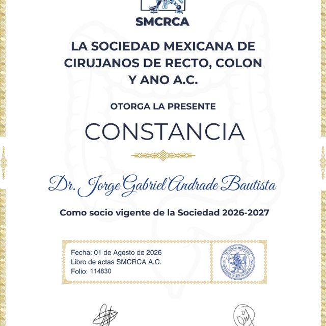 Ampliar imagen: certificate 17