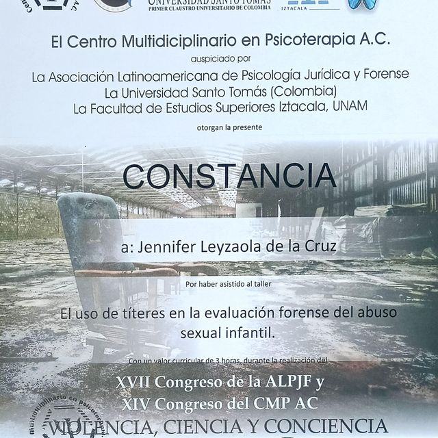 Ampliar imagen: certificate 11