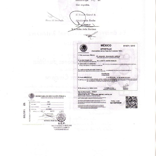 Ampliar imagen: certificate 4