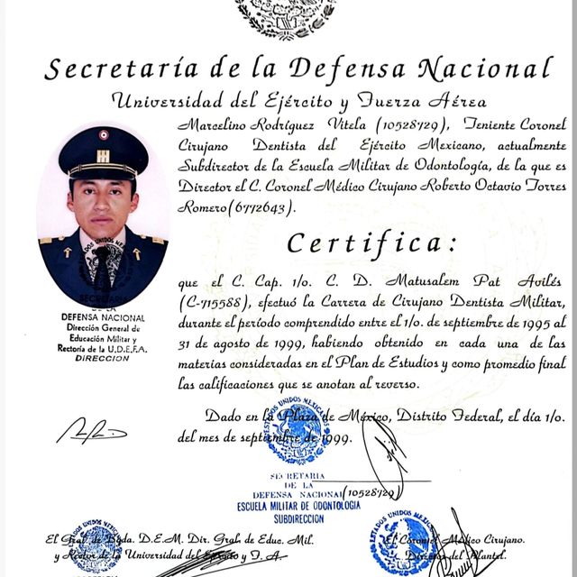 Ampliar imagen: certificate 3