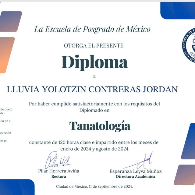 Ampliar imagen: certificate 14