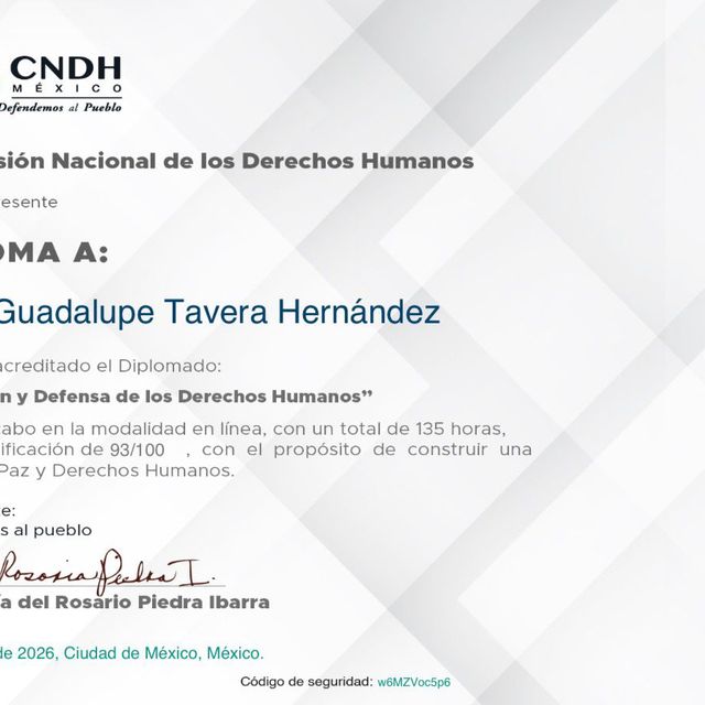 Ampliar imagen: certificate 84