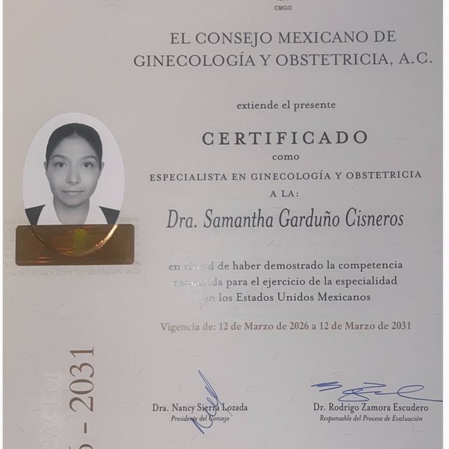 Ampliar imagen: certificate 1
