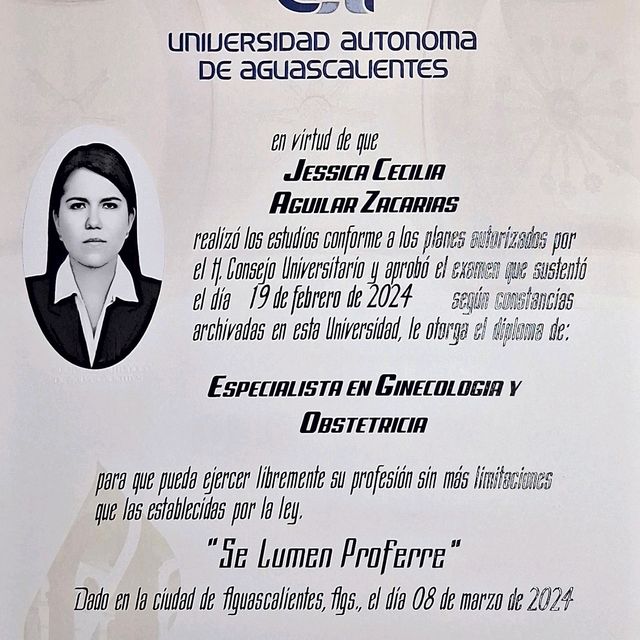 Ampliar imagen: certificate 1