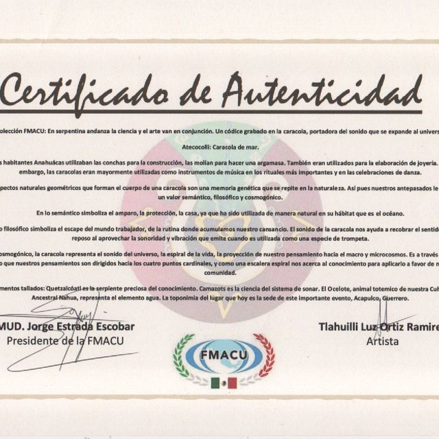 Ampliar imagen: certificate 17