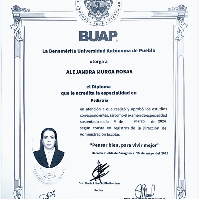 Ampliar imagen: certificate 3