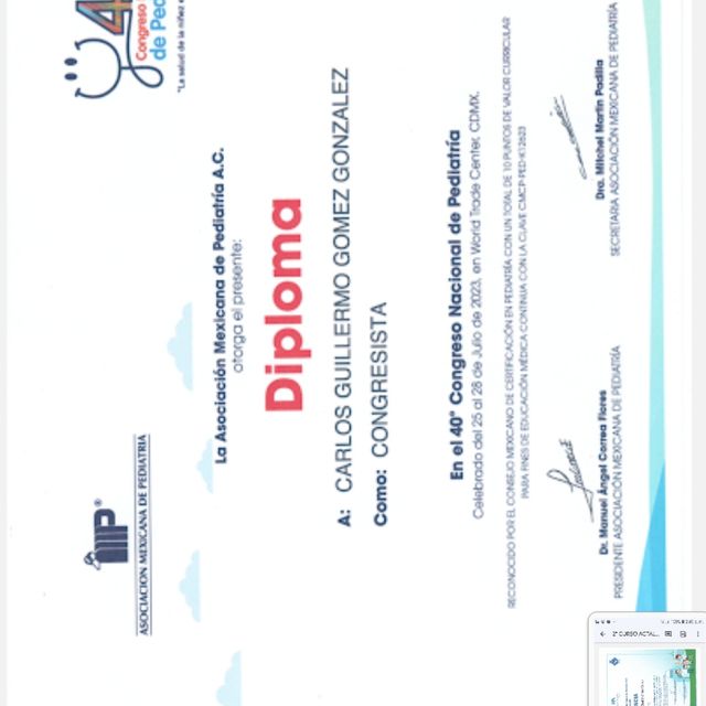 Ampliar imagen: certificate 28