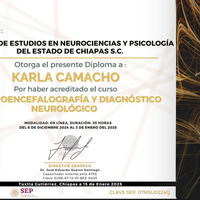 Ampliar imagen: certificate 31