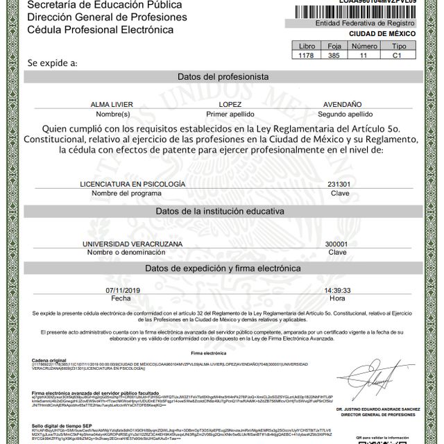 Ampliar imagen: certificate 1