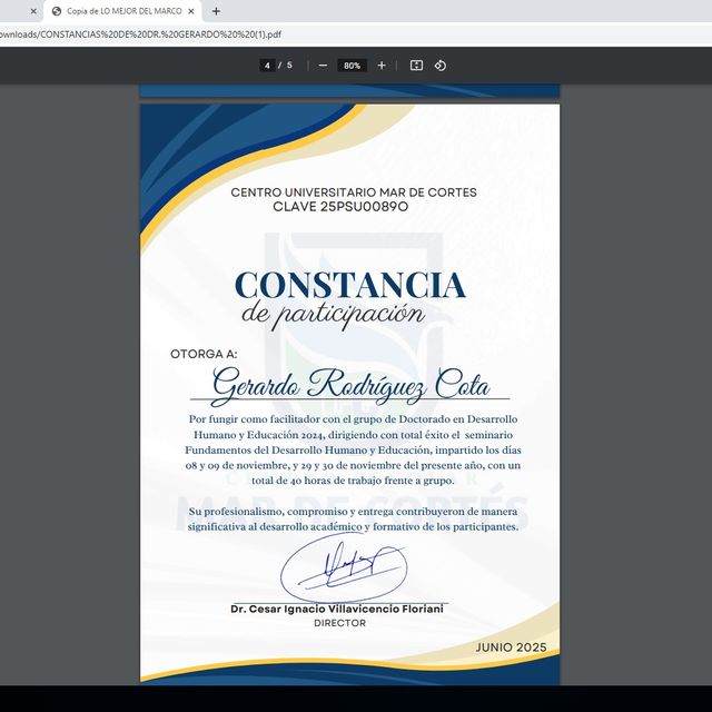 Ampliar imagen: certificate 25