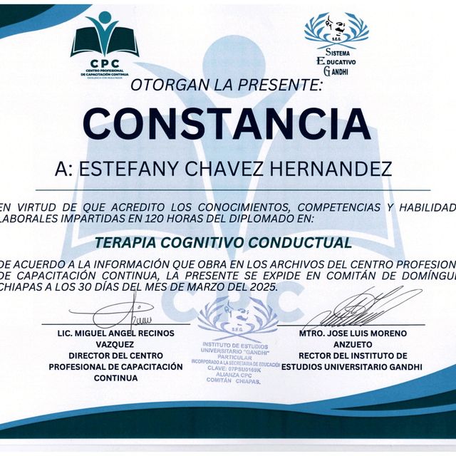 Ampliar imagen: certificate 4