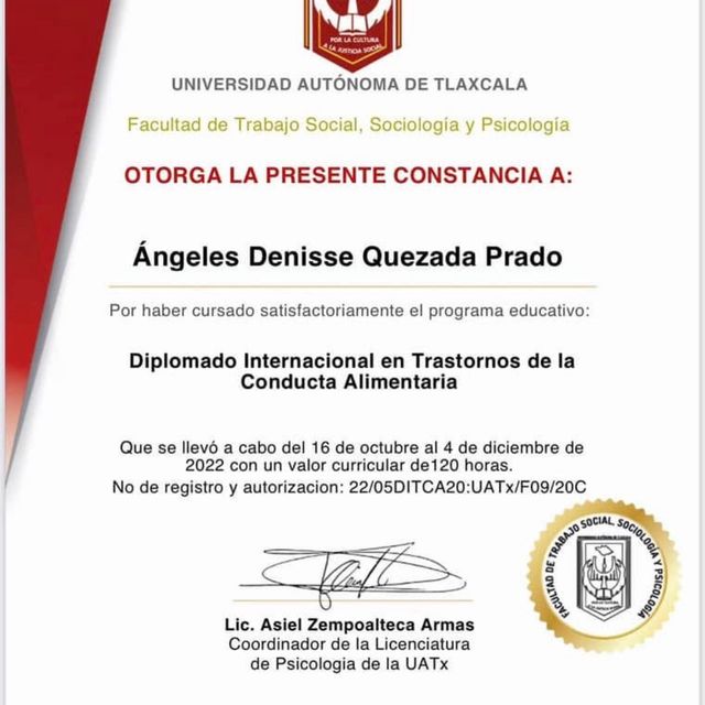 Ampliar imagen: certificate 18