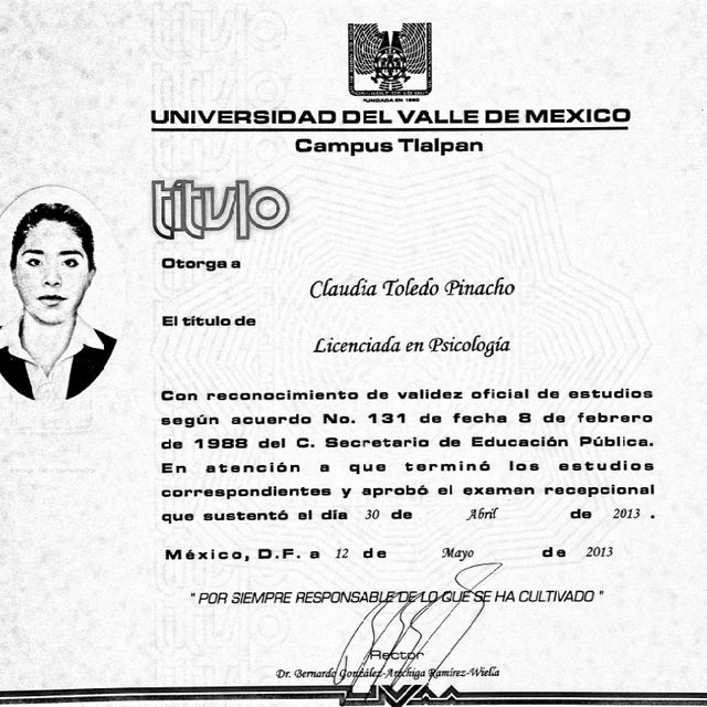 Ampliar imagen: certificate 1