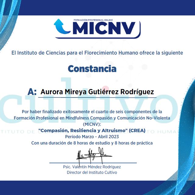 Ampliar imagen: certificate 9