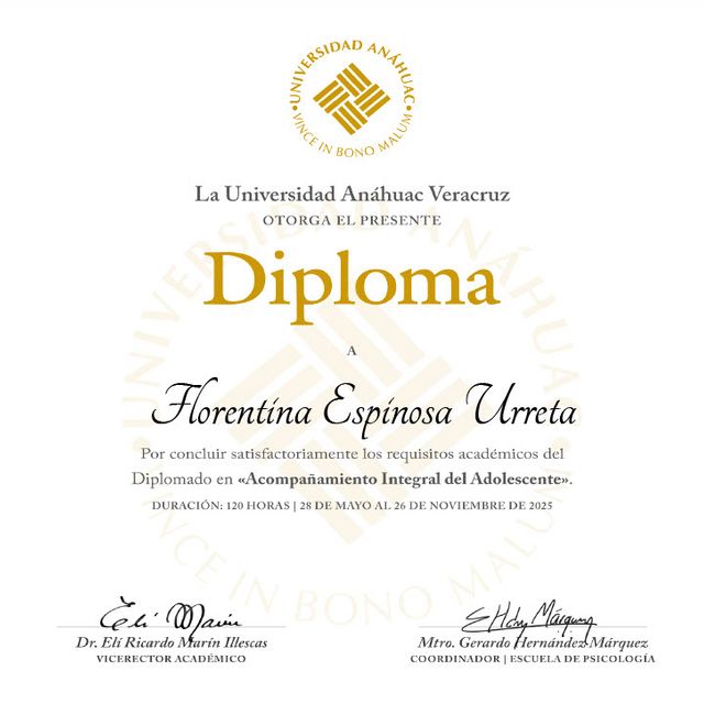 Ampliar imagen: certificate 3