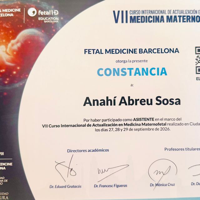 Ampliar imagen: certificate 11