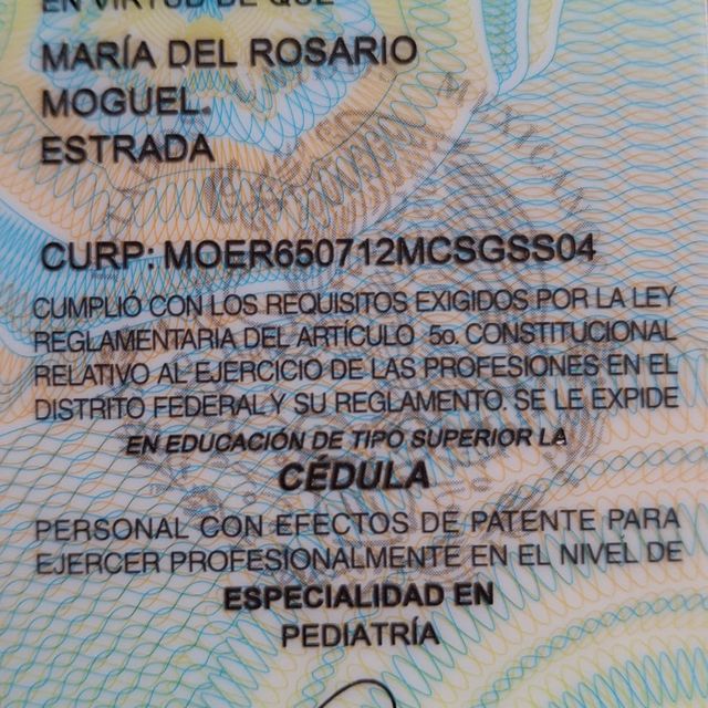 Ampliar imagen: certificate 2