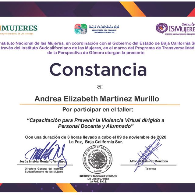 Ampliar imagen: certificate 56