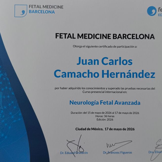 Ampliar imagen: certificate 1