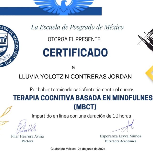 Ampliar imagen: certificate 9