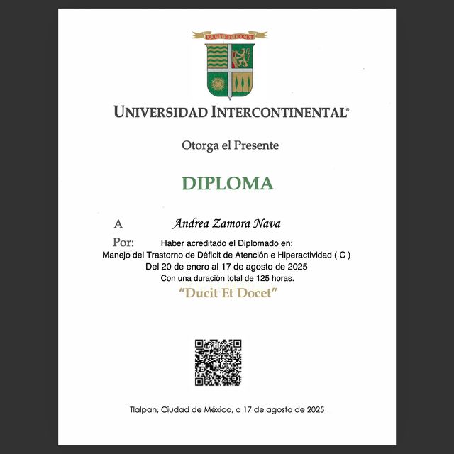 Ampliar imagen: certificate 3