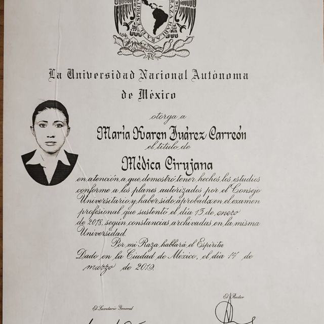 Ampliar imagen: certificate 1
