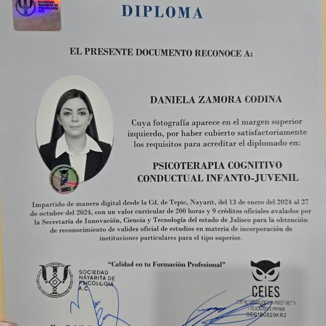 Ampliar imagen: certificate 2