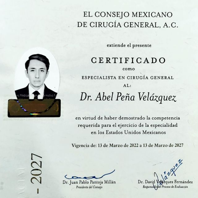 Ampliar imagen: certificate 6