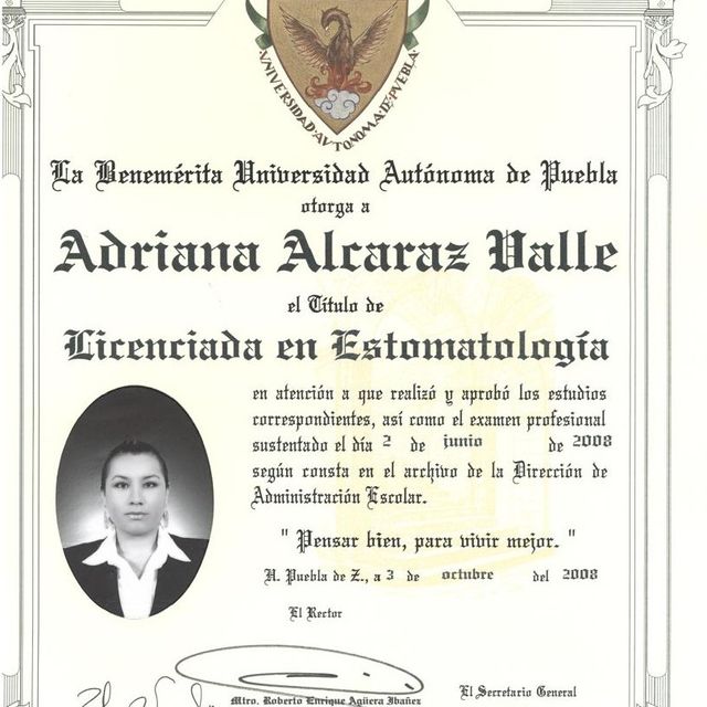 Ampliar imagen: certificate 1