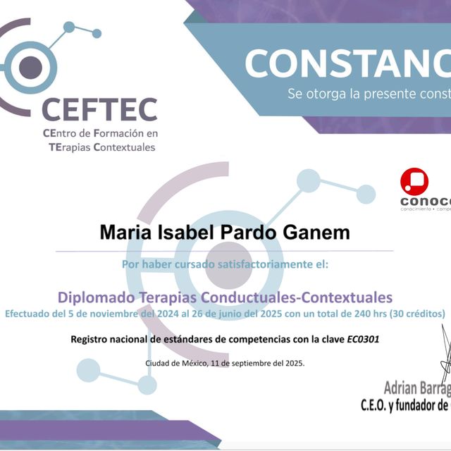 Ampliar imagen: certificate 3