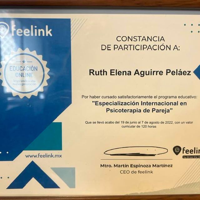 Ampliar imagen: certificate 8