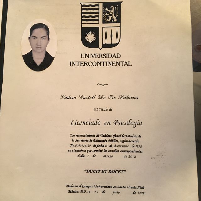 Ampliar imagen: certificate 2