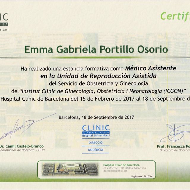 Ampliar imagen: certificate 3