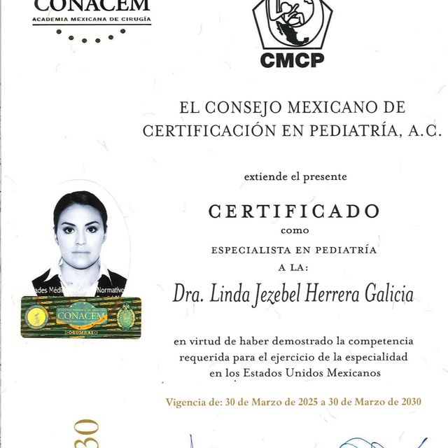 Ampliar imagen: certificate 1