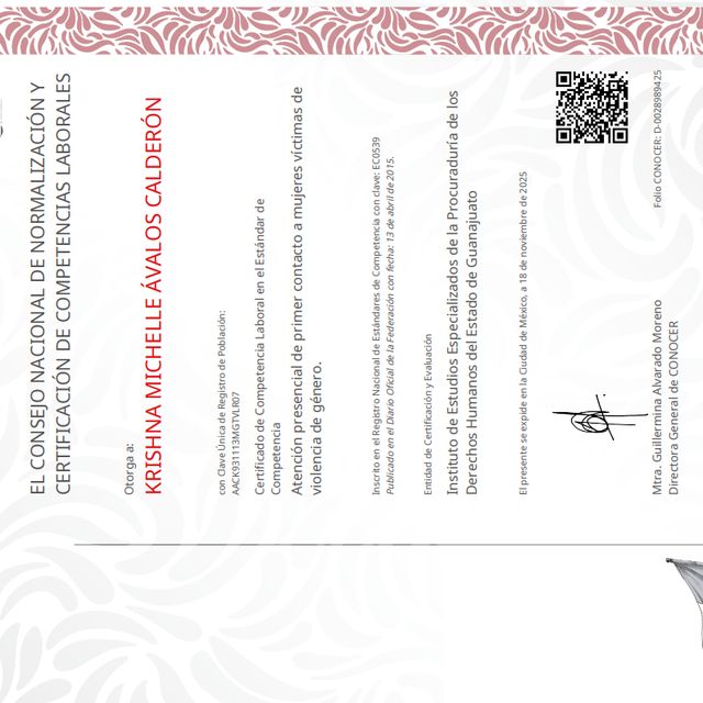 Ampliar imagen: certificate 3
