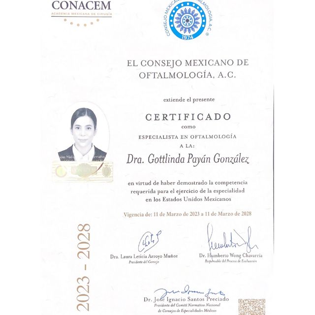 Ampliar imagen: certificate 2