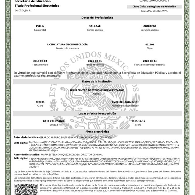 Ampliar imagen: certificate 2