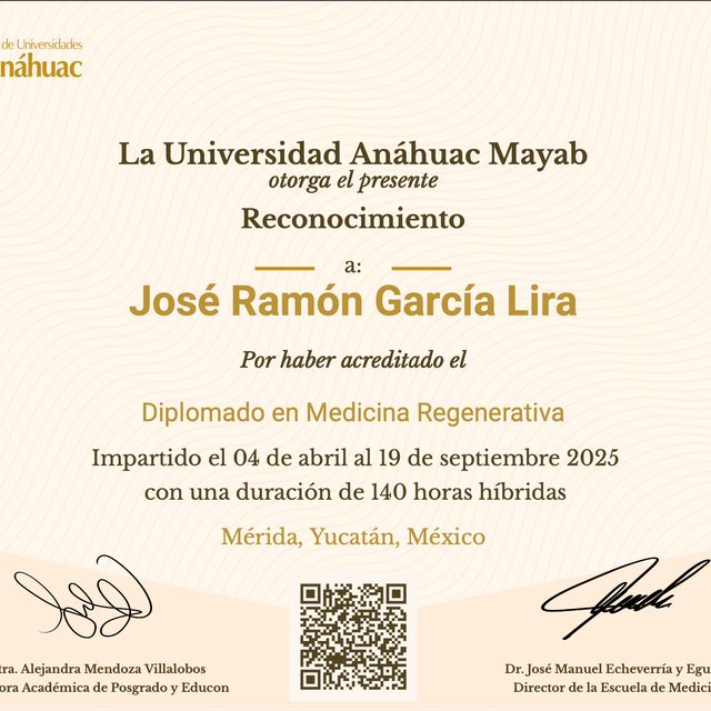 Ampliar imagen: certificate 4