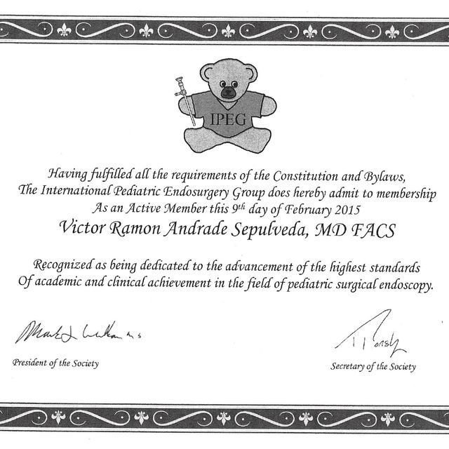 Ampliar imagen: certificate 3