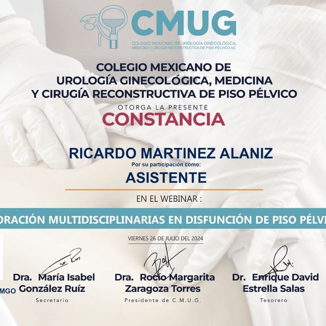 Ampliar imagen: certificate 6