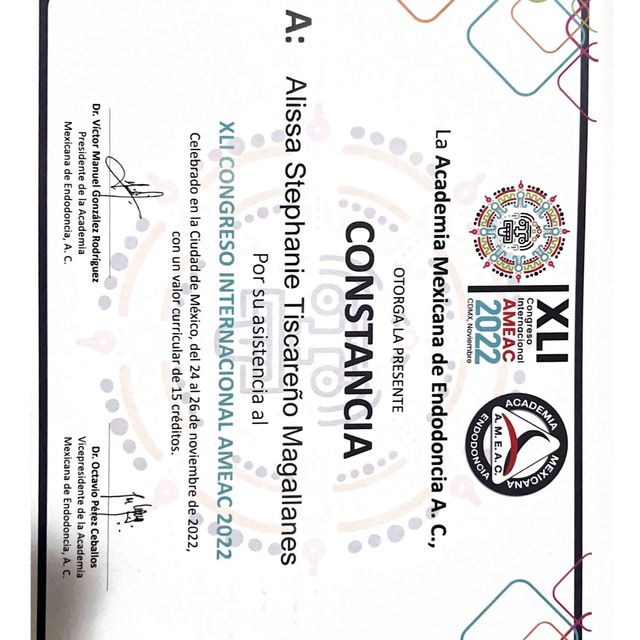 Ampliar imagen: certificate 4